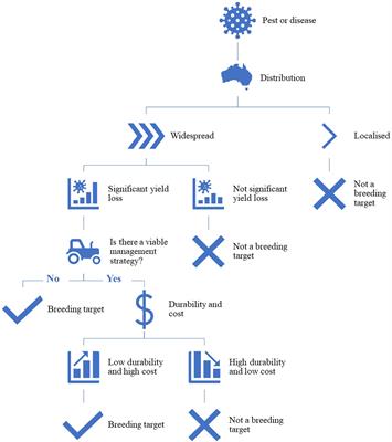 The Past, Present, and Future of Host Plant Resistance in Cotton: An Australian Perspective